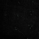 Eyelet Scarf - Enhanced Hair - Headwear - Jon Renau