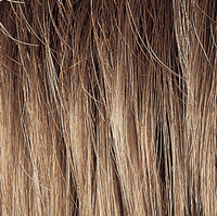12 - Enhanced Hair - Colour Swatch - EH Colour Swatch