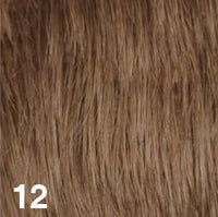 12 - Enhanced Hair - Colour Swatch - EH Colour Swatch