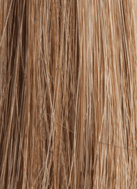 12 - Enhanced Hair - Colour Swatch - EH Colour Swatch