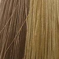 14/26R - Enhanced Hair - Colour Swatch - EH Colour Swatch