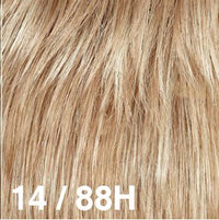 14/88H - Enhanced Hair - Colour Swatch - EH Colour Swatch