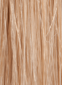 16/18 - Enhanced Hair - Colour Swatch - EH Colour Swatch