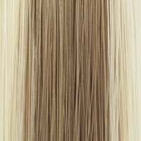 18/22R - Enhanced Hair - Colour Swatch - EH Colour Swatch
