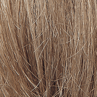18/26R - Enhanced Hair - Colour Swatch - EH Colour Swatch