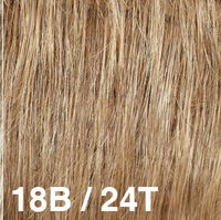 18B/24T - Enhanced Hair - Colour Swatch - EH Colour Swatch