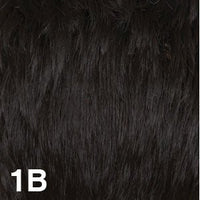 1B - Enhanced Hair - Colour Swatch - EH Colour Swatch