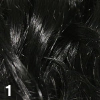 1 - Enhanced Hair - Colour Swatch - EH Colour Swatch