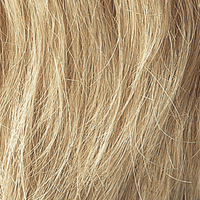 22 - Enhanced Hair - Colour Swatch - EH Colour Swatch