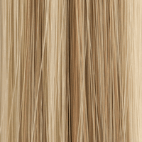 223R - Enhanced Hair - Colour Swatch - EH Colour Swatch
