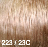 223/23C - Enhanced Hair - Colour Swatch - EH Colour Swatch
