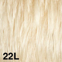 22L - Enhanced Hair - Colour Swatch - EH Colour Swatch