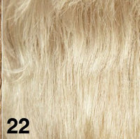 22 - Enhanced Hair - Colour Swatch - EH Colour Swatch