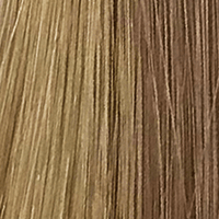 24/14R - Enhanced Hair - Colour Swatch - EH Colour Swatch