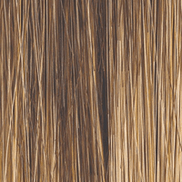 24/18T - Enhanced Hair - Colour Swatch - EH Colour Swatch