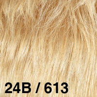 24B/613 - Enhanced Hair - Colour Swatch - EH Colour Swatch