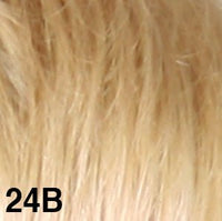 24B - Enhanced Hair - Colour Swatch - EH Colour Swatch