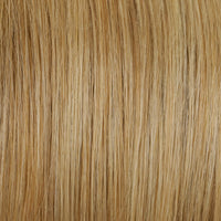 24B22 - Enhanced Hair - Colour Swatch - EH Colour Swatch