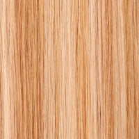 24B/27C - Enhanced Hair - Colour Swatch - EH Colour Swatch
