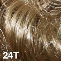 24T - Enhanced Hair - Colour Swatch - EH Colour Swatch