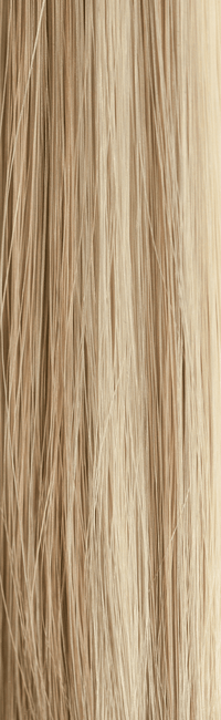 263R - Enhanced Hair - Colour Swatch - EH Colour Swatch
