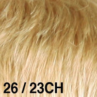 26/23CH - Enhanced Hair - Colour Swatch - EH Colour Swatch