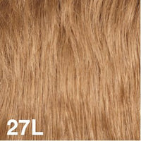 27L - Enhanced Hair - Colour Swatch - EH Colour Swatch