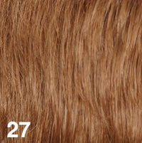 27 - Enhanced Hair - Colour Swatch - EH Colour Swatch