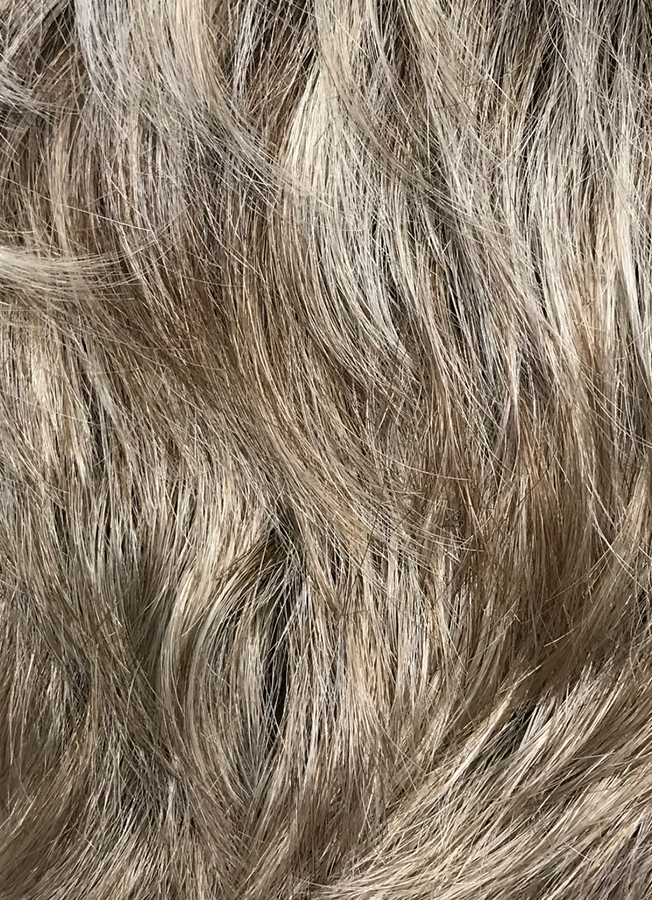 65
