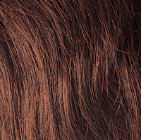 8 - Enhanced Hair - Colour Swatch - EH Colour Swatch
