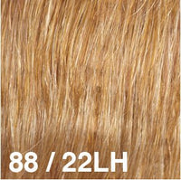 88/22LH - Enhanced Hair - Colour Swatch - EH Colour Swatch