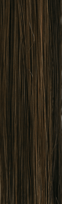 8R - Enhanced Hair - Colour Swatch - EH Colour Swatch