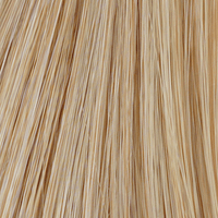 Champagne Glow - 22R colour swatch – California Beach Waves by TressAllure