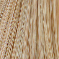 Champagne Glow - 22R colour swatch – She's Like The Wind by TressAllure