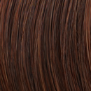 Chestnut Embers - 32/31 colour swatch – Picture Perfect by TressAllure