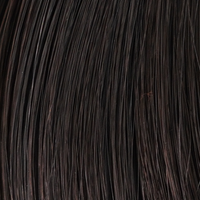Cocoa Gleam - 2/4R colour swatch – Picture Perfect by TressAllure