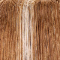 FS26/31 - Enhanced Hair - Colour Swatch - EH Colour Swatch