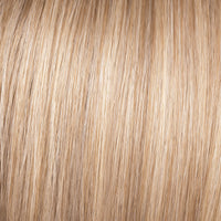 GF19 - 23 Biscuit - Enhanced Hair - Colour Swatch - EH Colour Swatch