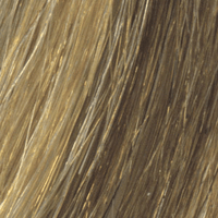 L10/16 - Enhanced Hair - Colour Swatch - EH Colour Swatch