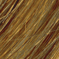 L12 - Enhanced Hair - Colour Swatch - EH Colour Swatch