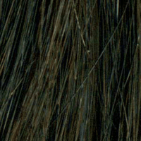 L1B - Enhanced Hair - Colour Swatch - EH Colour Swatch