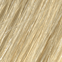 L22 - Enhanced Hair - Colour Swatch - EH Colour Swatch