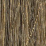 L6 - Enhanced Hair - Colour Swatch - EH Colour Swatch