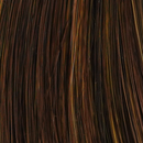 Mocha Honey - 829 colour swatch – Poised by TressAllure