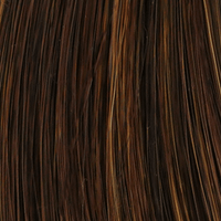 Mocha Honey - 829 colour swatch – Twisted Pixie by TressAllure