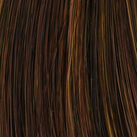 Mocha Honey - 829 colour swatch – Picture Perfect by TressAllure