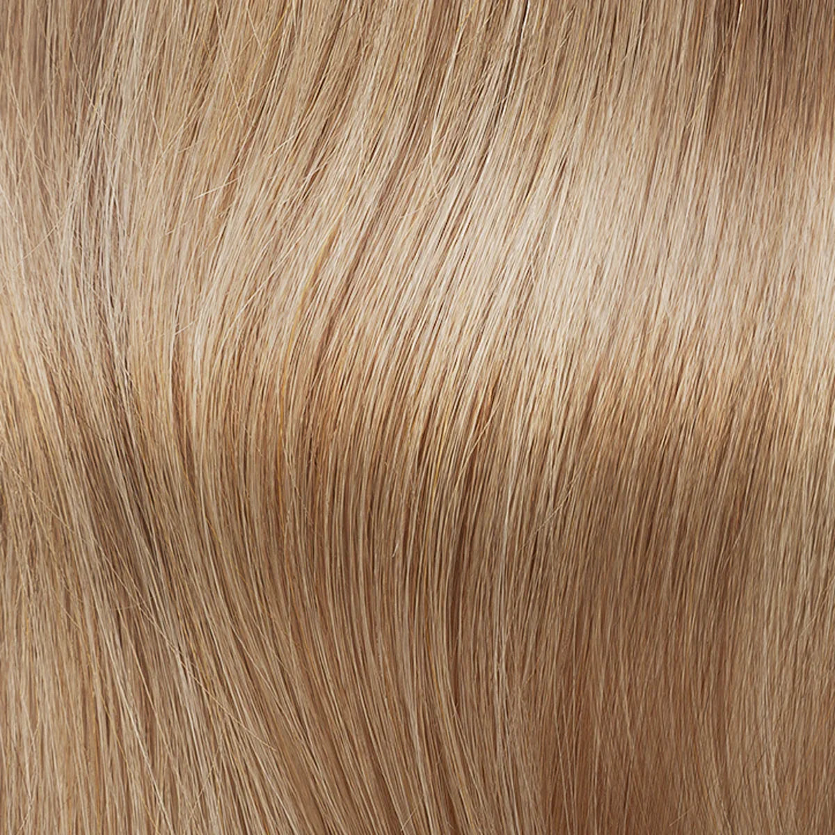 Iced Latte - SSB25/26/R12 colour swatch – Sheer Top by TressAllure
