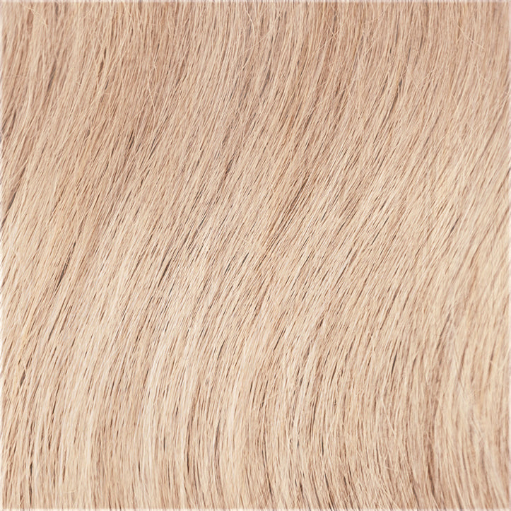 Ginger Blaze - SSB27/25/88 colour swatch – Sophisticate by TressAllure