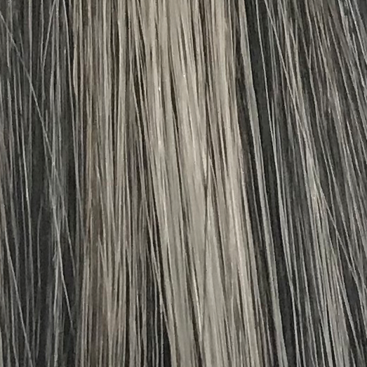 Silvered Charcoal